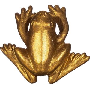Cínová úchytka na šuplík ve zlaté barvě Sass & Belle Frog