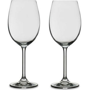 Sada 2 sklenic na bílé víno z křišťálového skla Bitz Fluidum, 450 ml