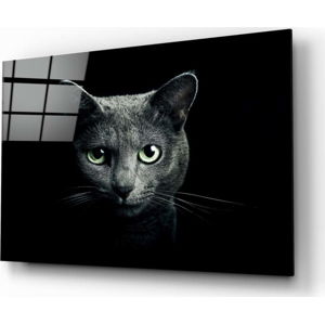 Skleněný obraz Insigne Cat, 110 x 70 cm