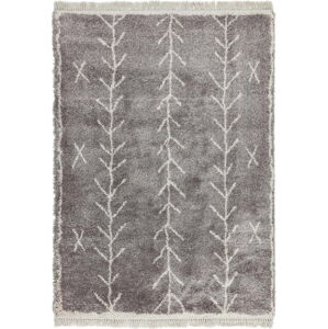 Šedý koberec 120x170 cm Rocco – Asiatic Carpets