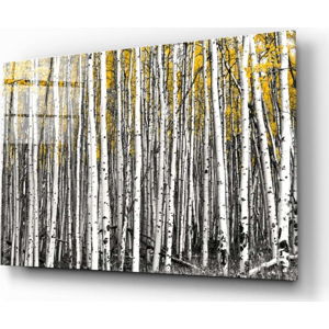 Skleněný obraz Insigne Yellow Forest, 110 x 70 cm