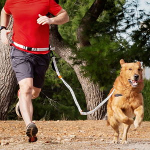 Běžecké vodítko pro psy InnovaGoods