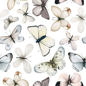 Nástěnná tapeta s motivem motýlů Dekornik Butterflies