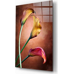 Skleněný obraz Insigne Tulips, 46 x 72 cm
