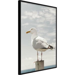Plakát v rámu Artgeist Curious Seagull, 30 x 45 cm