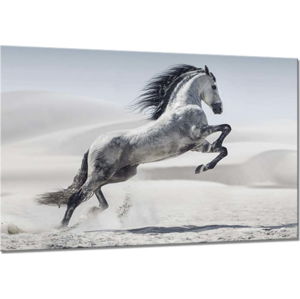 Obraz Styler Glasspik Glasspik Animals Horse, 80 x 120 cm
