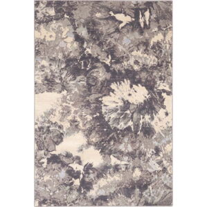 Šedý vlněný koberec 160x240 cm Daub – Agnella