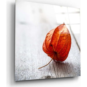 Skleněný obraz Insigne Dry Leaf, 40 x 40 cm