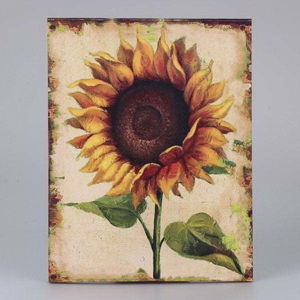 Obraz na plátně Dakls Sunflower