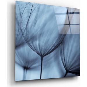 Skleněný obraz Insigne Dandelion Serenity, 40 x 40 cm