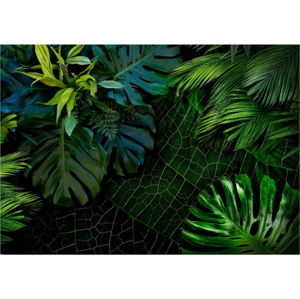 Velkoformátová tapeta Bimago Dark Jungle, 400 x 280 cm