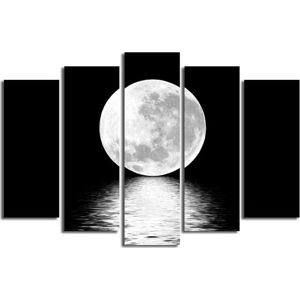 Vícedílný obraz White Moon, 105 x 70 cm