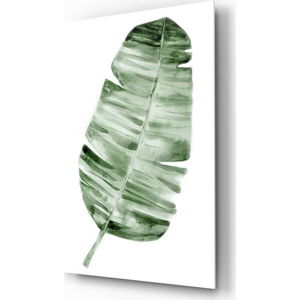 Skleněný obraz Insigne Forest Feather, 70 x 110 cm