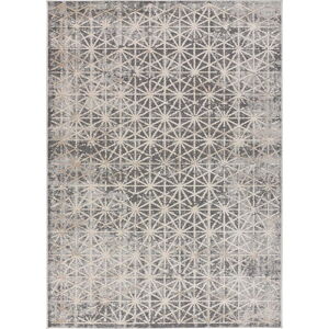 Šedý koberec 140x200 cm Paula – Universal
