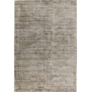Hnědý koberec 230x160 cm Blade - Asiatic Carpets
