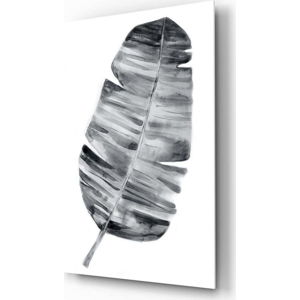 Skleněný obraz Insigne Feather, 70 x 110 cm