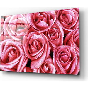 Skleněný obraz Insigne Pink Roses