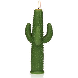 Dekorativní svíčka ve tvaru kaktusu Versa Cactus Suan
