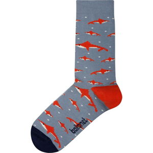 Ponožky Ballonet Socks Shark, velikost 41 - 46