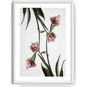 Obraz Piacenza Art Dendrobium, 30 x 20 cm