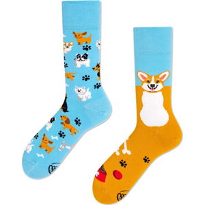 Ponožky Many Mornings Playful Dog, vel.  35–38