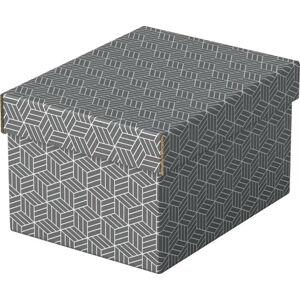 Sada 3 šedých úložných boxů Esselte Home, 20 x 25,5 cm