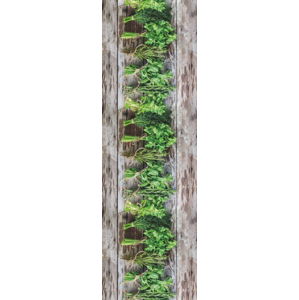 Hnědo-zelený běhoun Floorita Aromatica, 58 x 240 cm