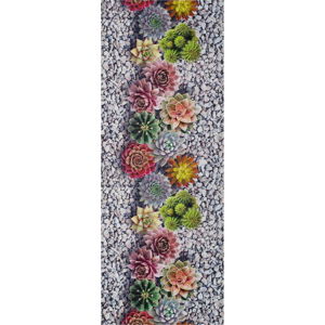 Koberec Universal Sprinty Cactus, 52 x 200 cm