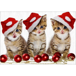 Koberec Vitaus Christmas Period Three Cats, 50 x 80 cm