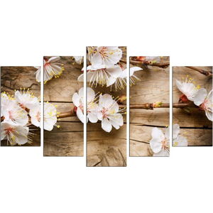 Vícedílný obraz Flower In The Blossom, 110 x 60 cm