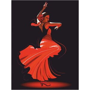 Nástěnný obraz na plátně Tango, 30 x 40 cm