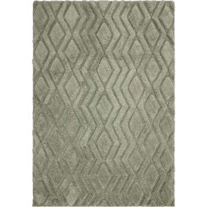 Zelený koberec 230x160 cm Harrison - Asiatic Carpets