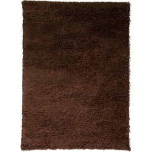 Hnědý koberec Flair Rugs Cariboo Brown, 160 x 230 cm
