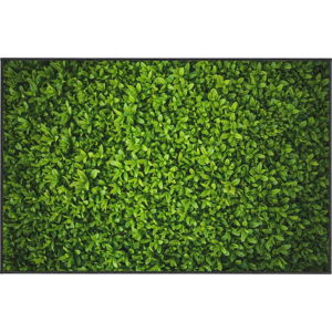 Zelený koberec Oyo home Ivy, 100 x 140 cm