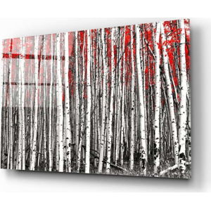 Skleněný obraz Insigne Birches