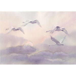 Velkoformátová tapeta Bimago Flying Swans, 400 x 280 cm