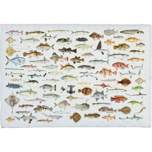 Koupelnová podložka s příměsí bavlny Really Nice Things Fish in the Ocean, 40 x 60 cm