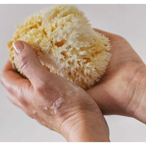 Čisticí houby na obličej v sadě 5 ks Ocean – Mette Ditmer Denmark
