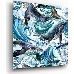 Skleněný obraz Insigne Dance of the Whales, 60 x 60 cm