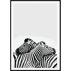 Plakát 20x30 cm Two Zebra - Piacenza Art
