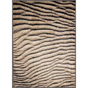 Hnědý koberec 80x120 cm Avanti – FD