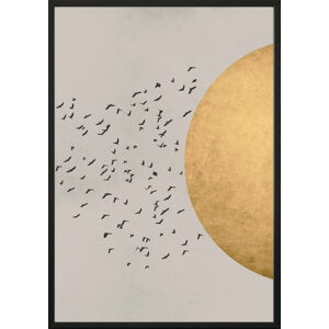 Nástěnný plakát v rámu BIRDS/SILHOUTTE, 70 x 100 cm
